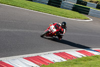 cadwell-no-limits-trackday;cadwell-park;cadwell-park-photographs;cadwell-trackday-photographs;enduro-digital-images;event-digital-images;eventdigitalimages;no-limits-trackdays;peter-wileman-photography;racing-digital-images;trackday-digital-images;trackday-photos